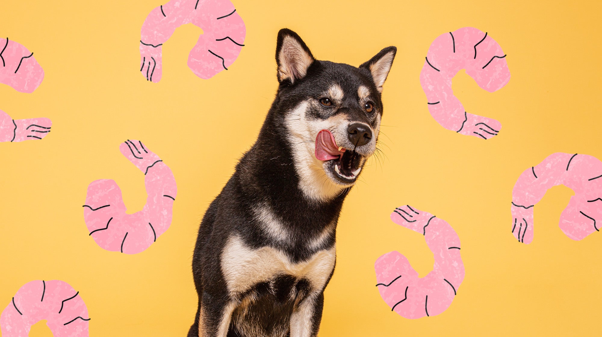 Can dogs shop have prawn crackers