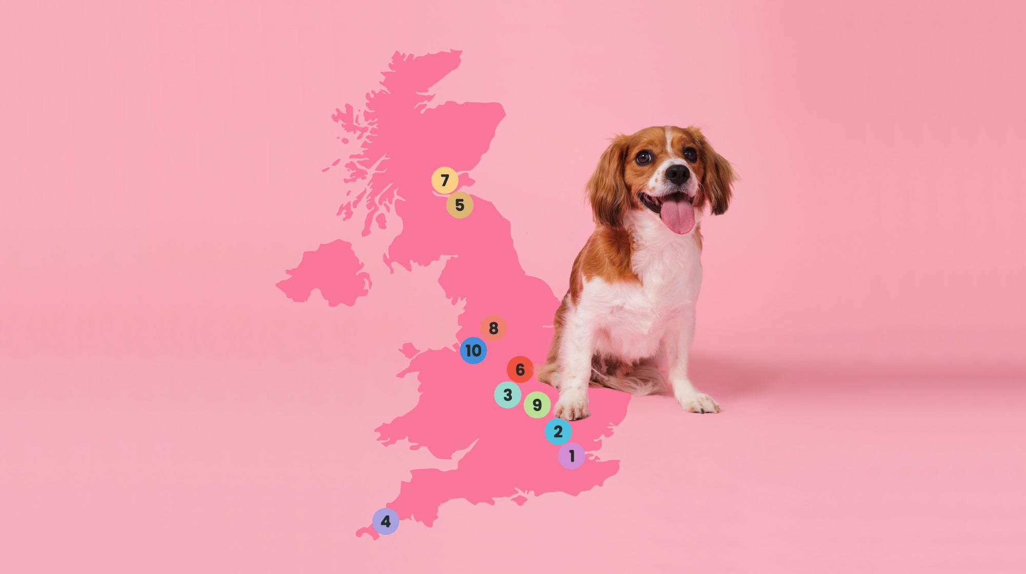 national-trust-dog-friendly-places-listed-by-county-dog-friends