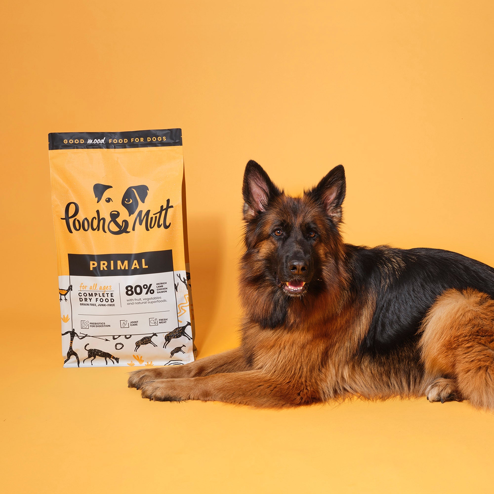 Best grain free dog food for german clearance shepherd