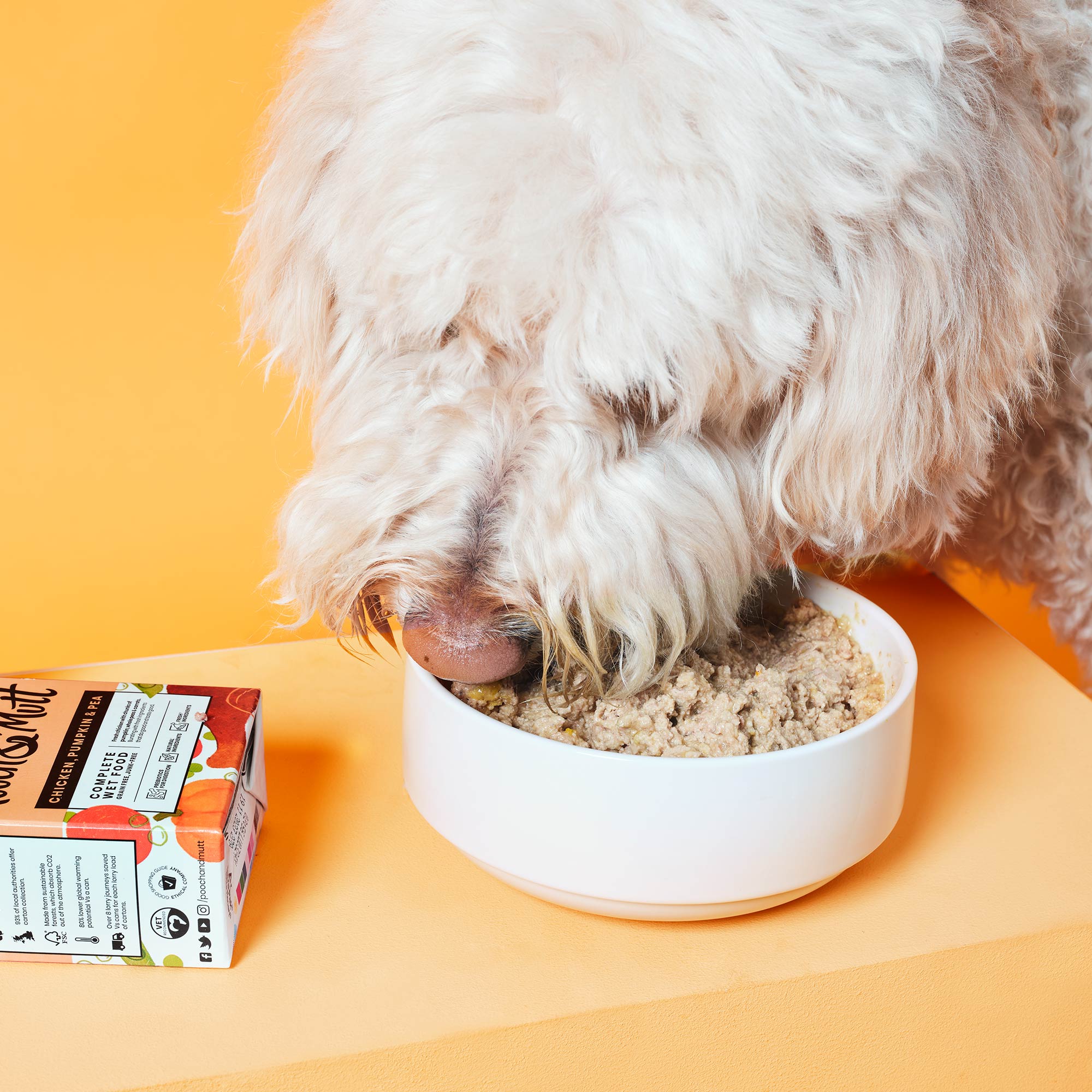 Feeding peas 2024 to dogs